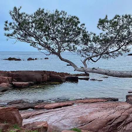 아파트 La Cigaliere Saint-Raphaël