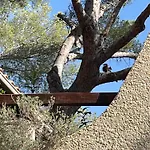 La Cigaliere Apartment