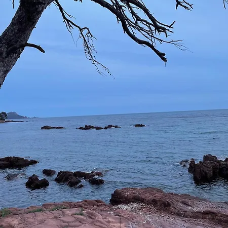 La Cigaliere *