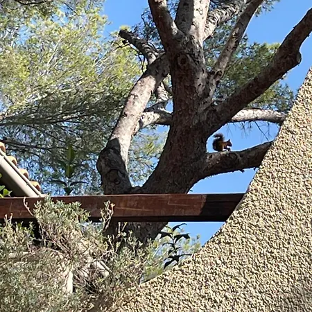 La Cigaliere Apartamento