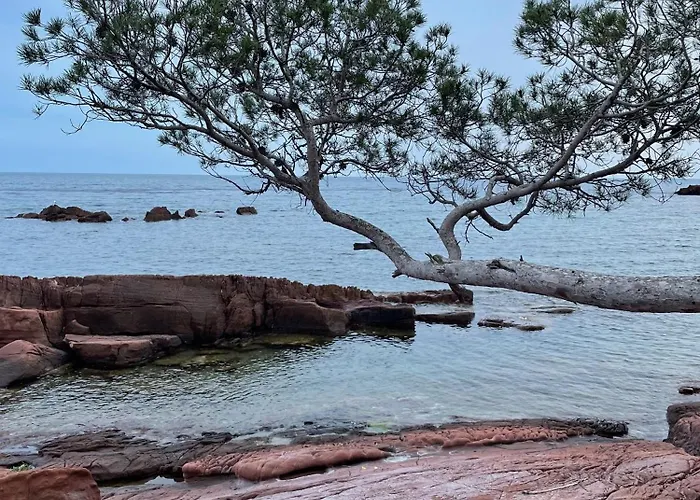 Lägenhet La Cigaliere Saint-Raphaël
