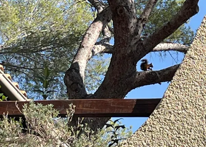 La Cigaliere Apartment